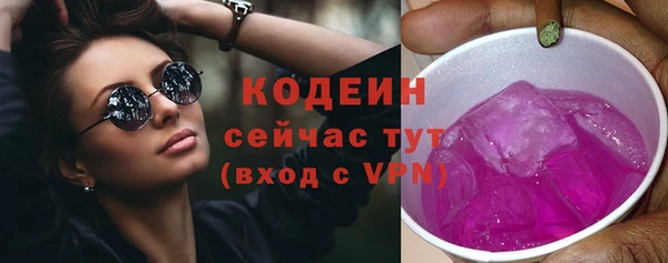 прущие грибы Баксан
