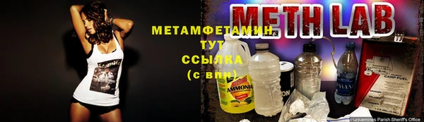 прущие грибы Баксан