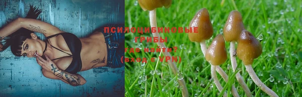 соль ск Балабаново